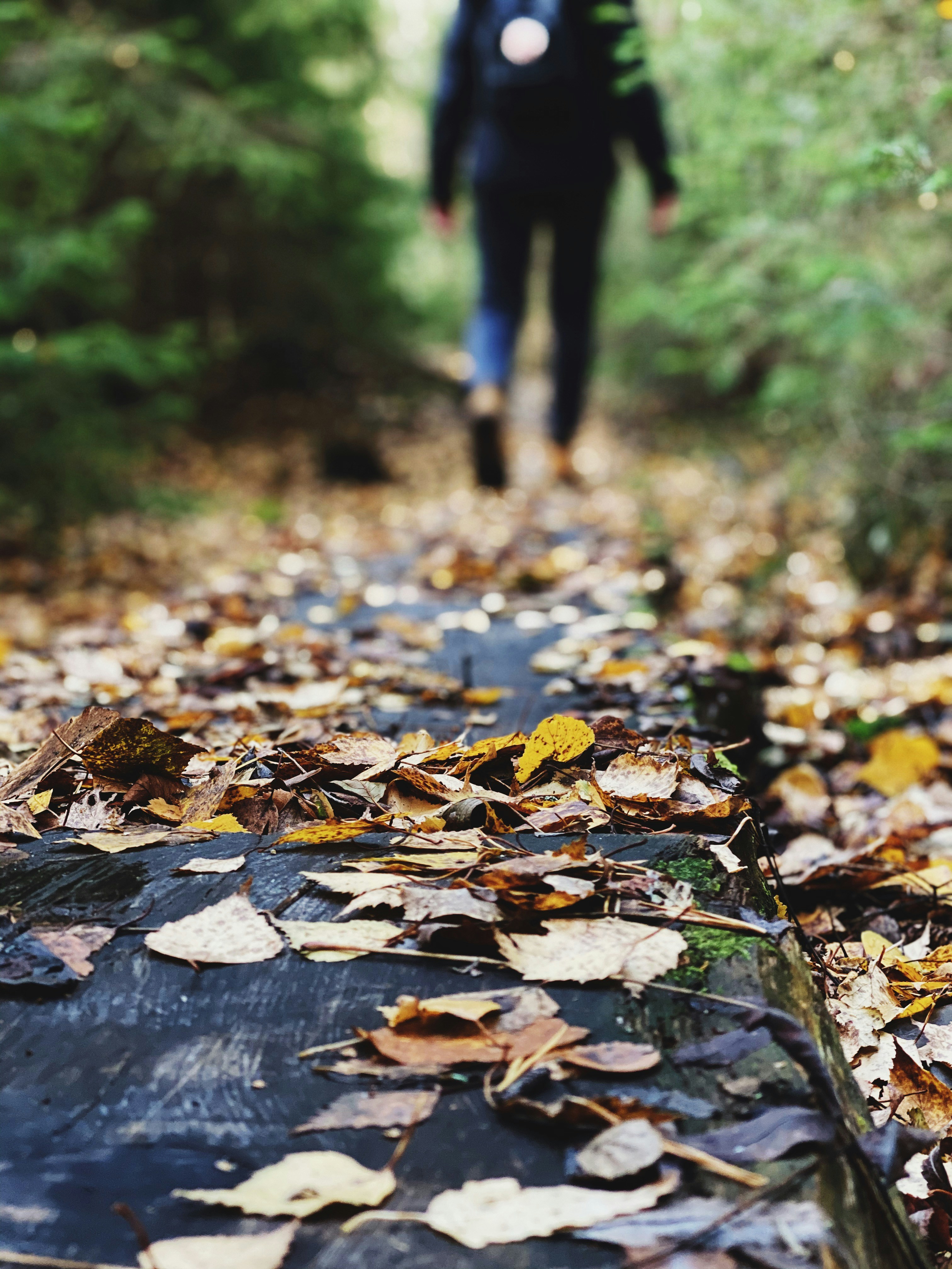 Walks