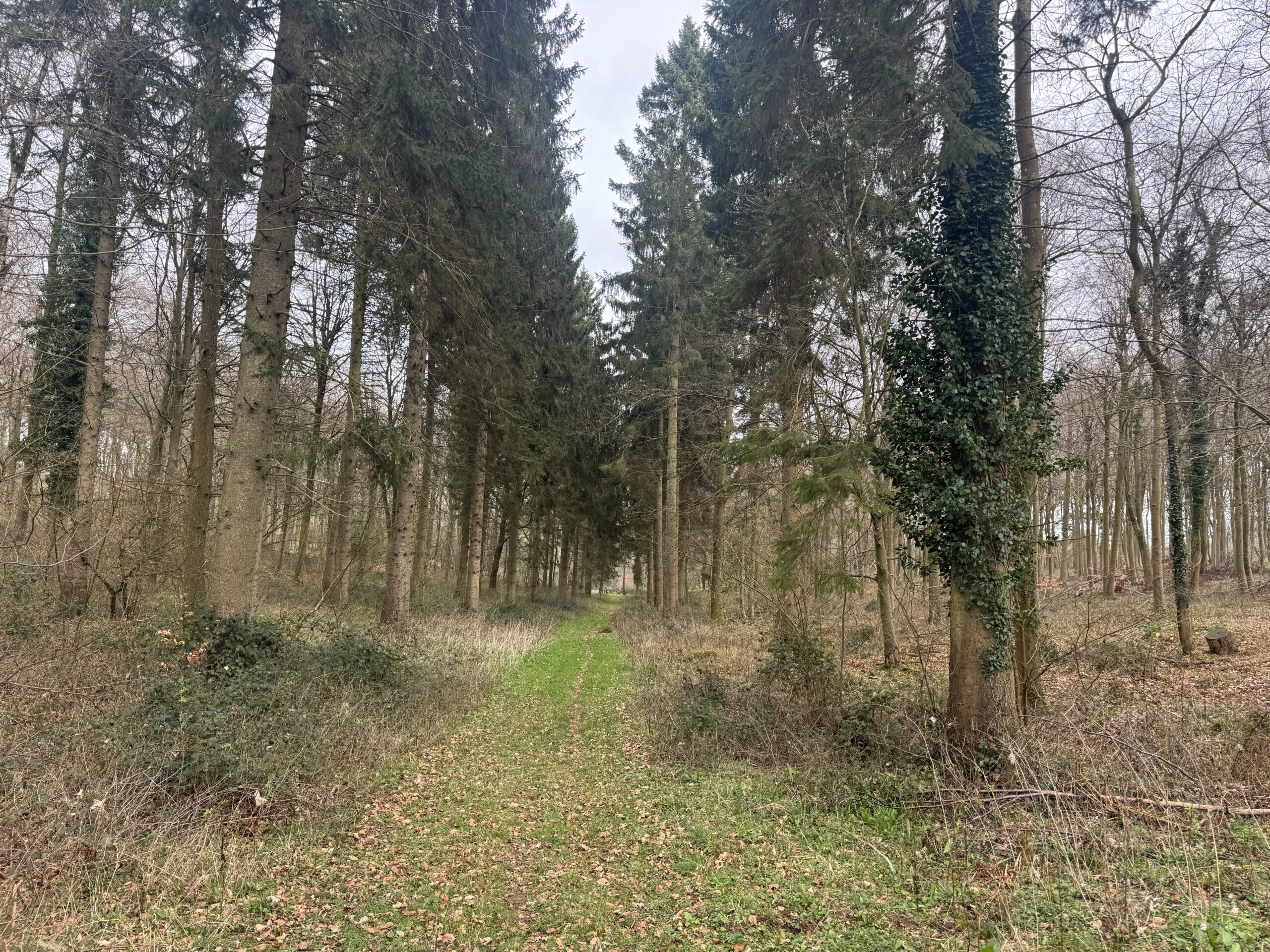 Willersey, Broadway & Dover’s Hill Circular