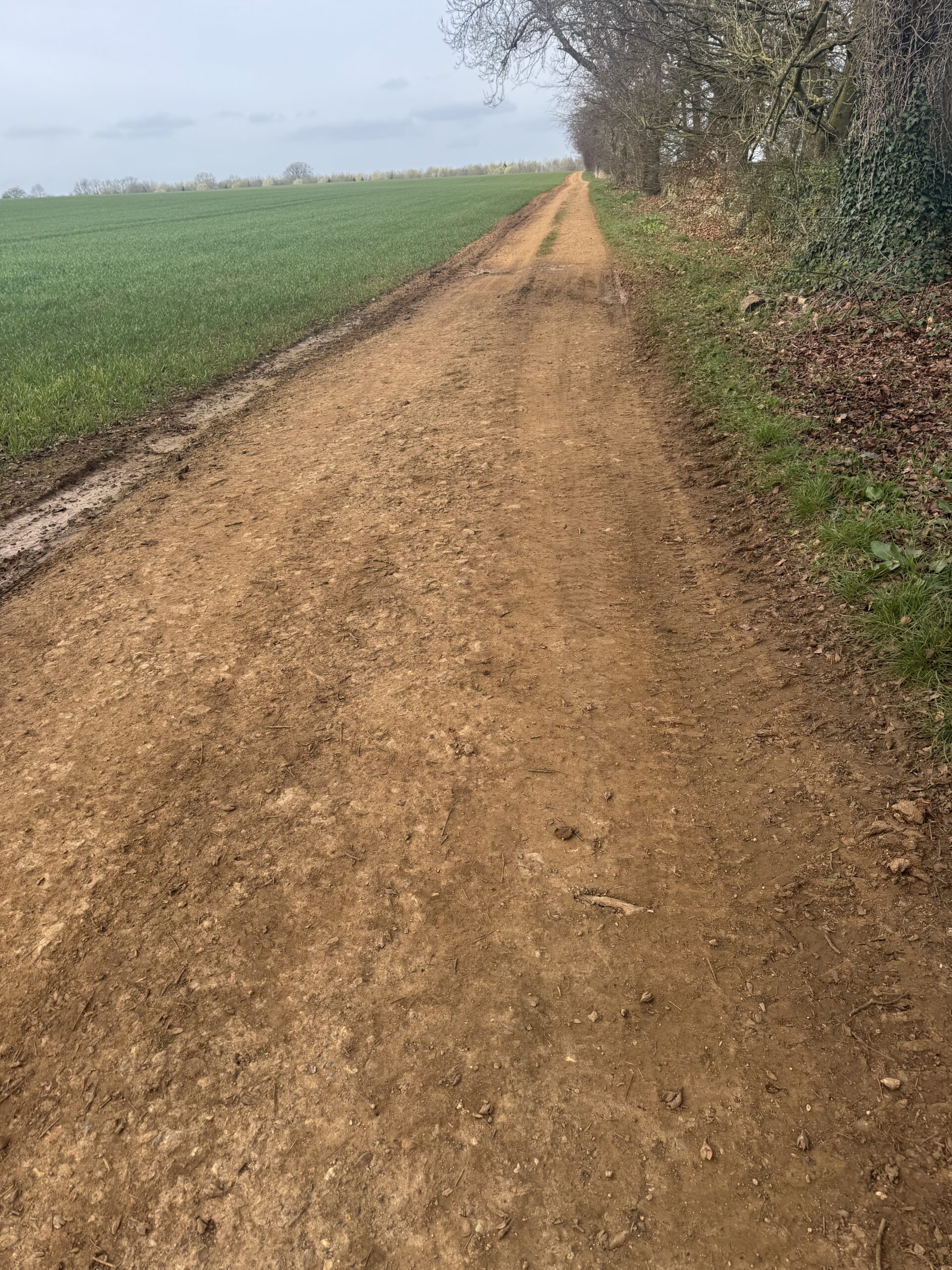 Willersey, Broadway & Dover’s Hill Circular