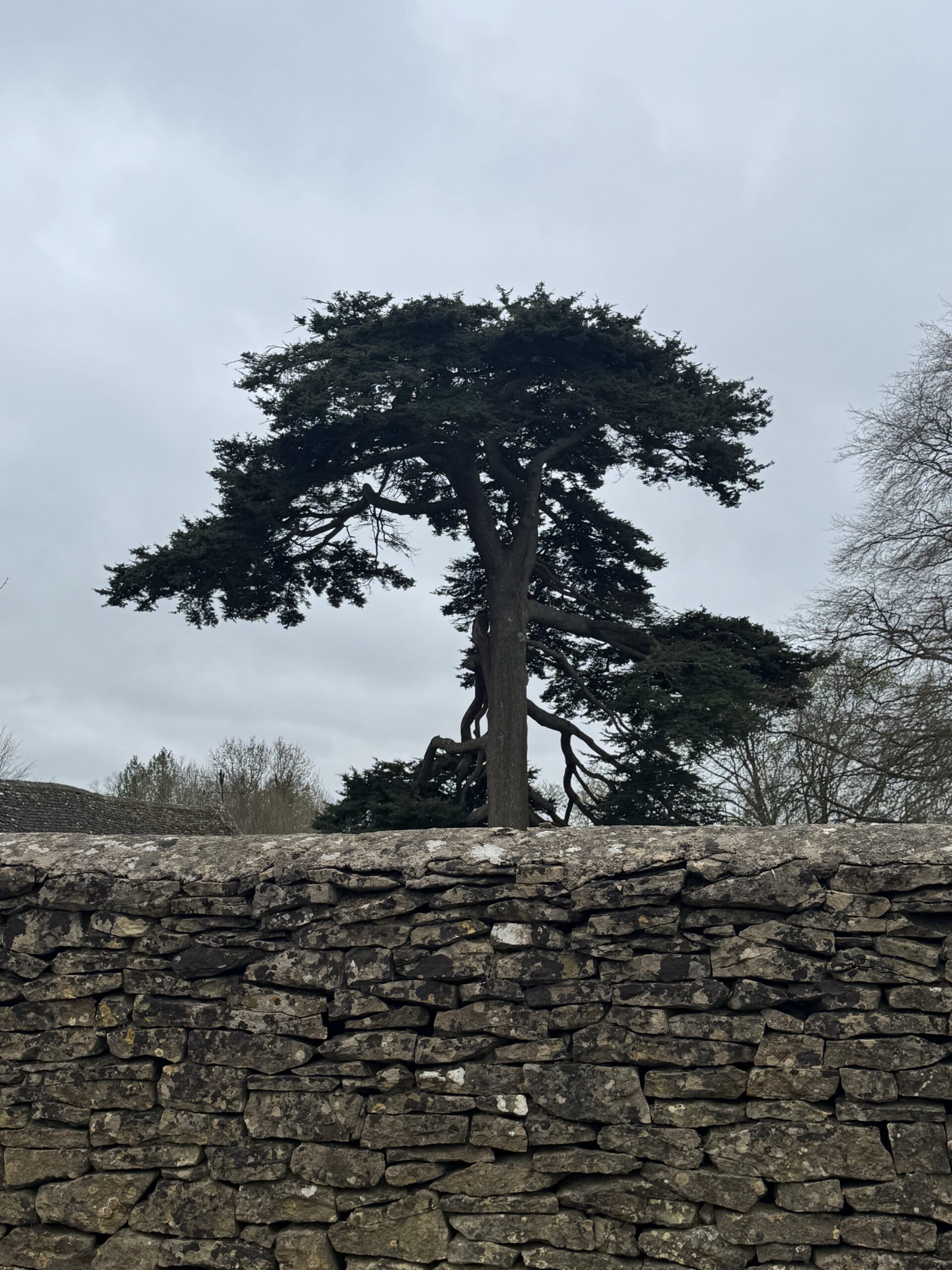 Bourton-on-the-Water & Sherborne Estate Circular
