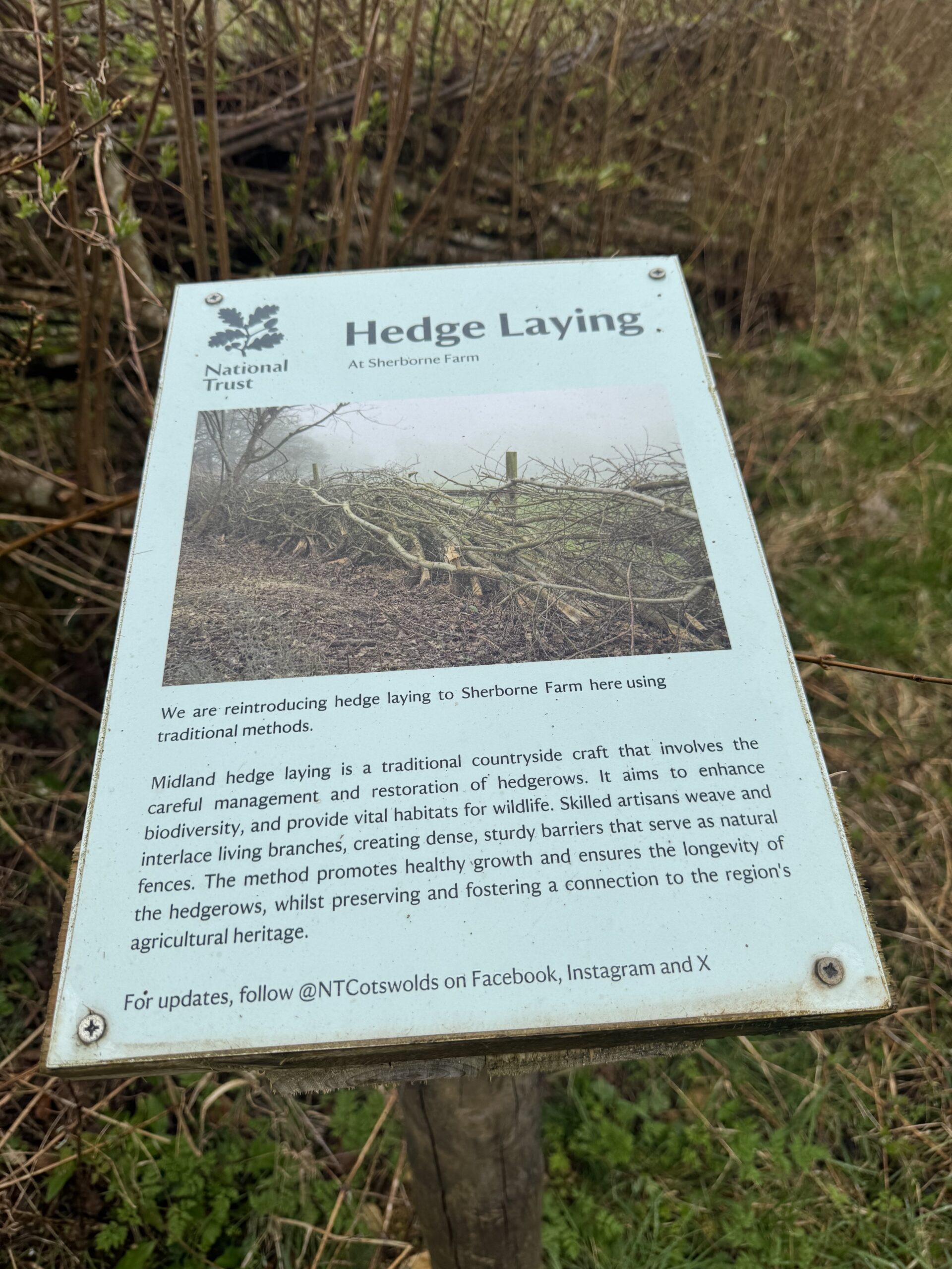 Bourton-on-the-Water & Sherborne Estate Circular