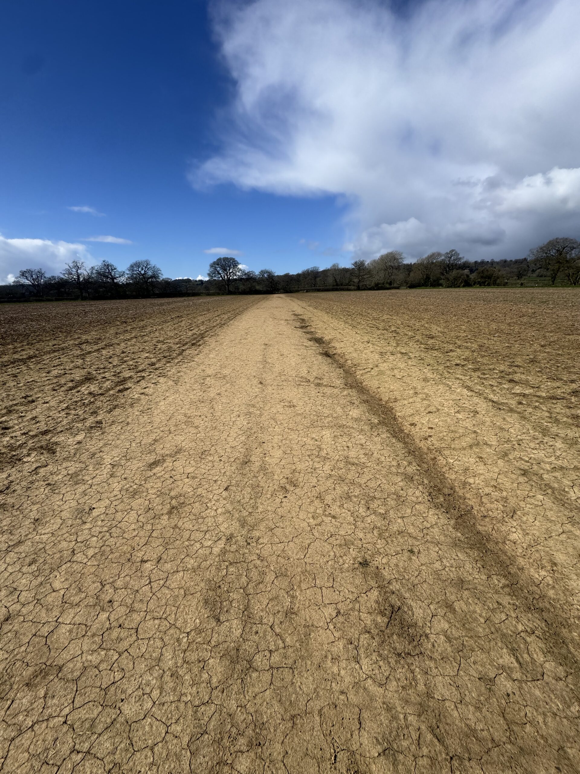 Moreton-in-Marsh to Batsford Arboretum Circular
