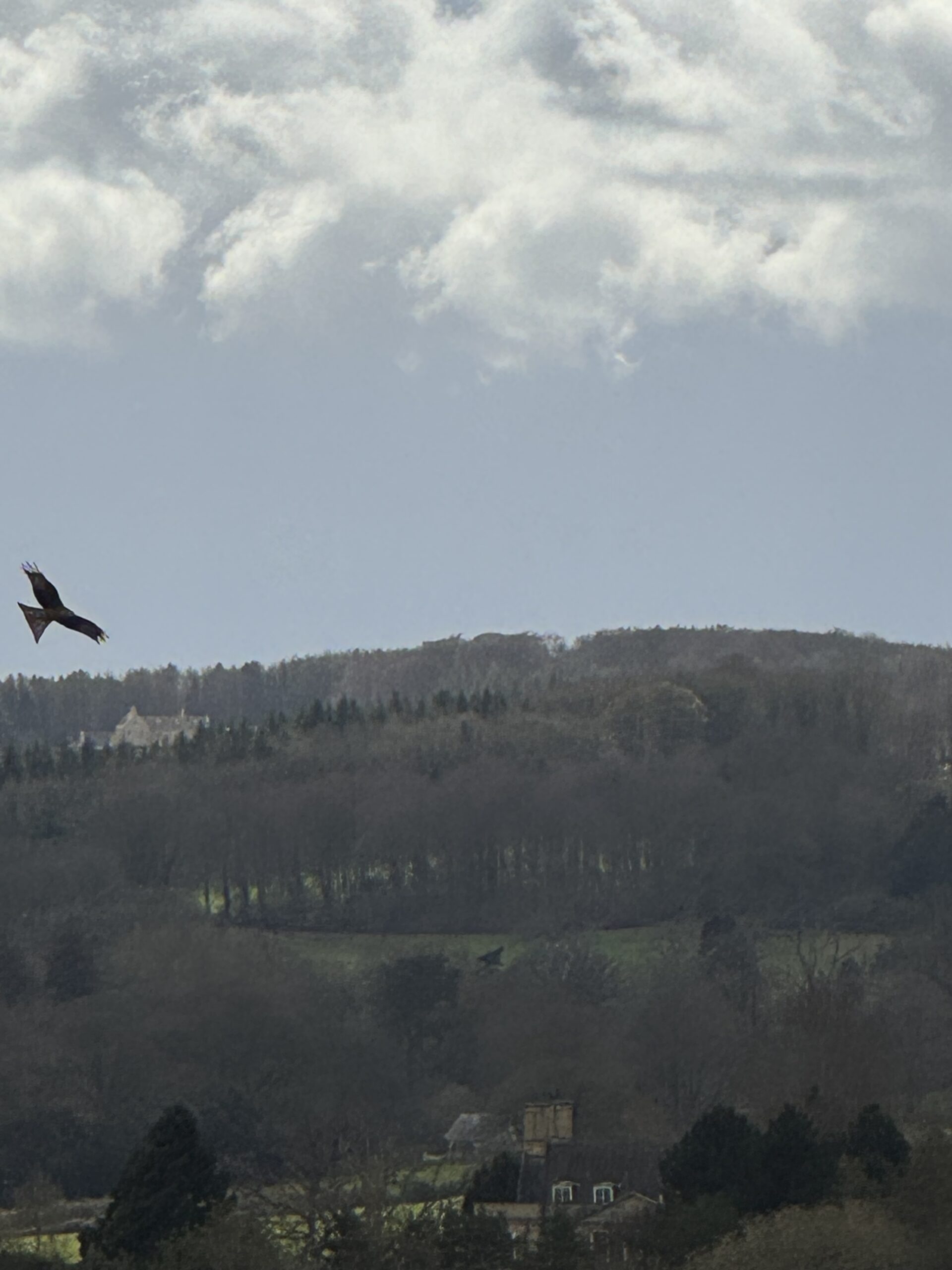 Moreton-in-Marsh to Batsford Arboretum Circular