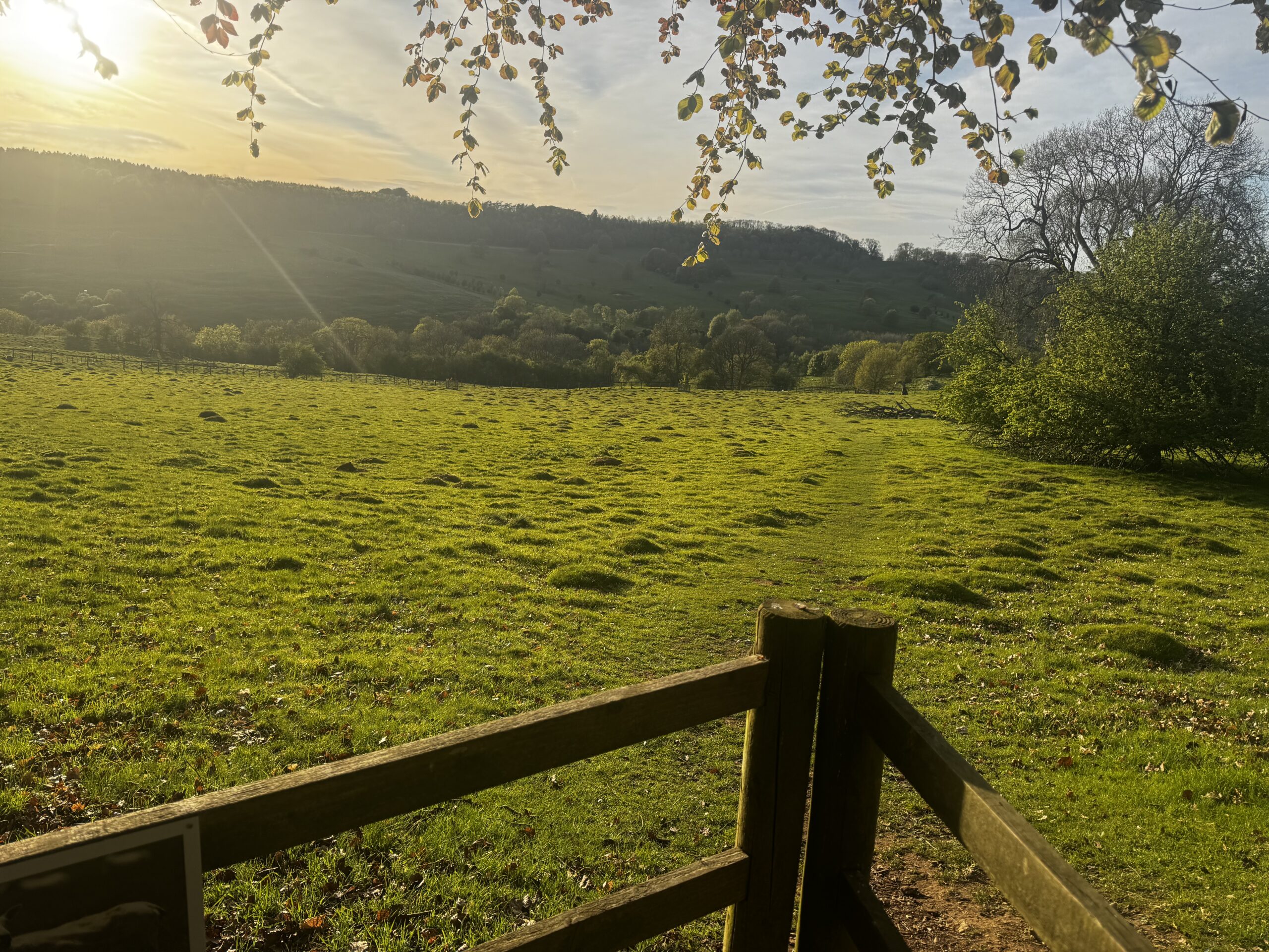 Snowshill Loop – Cotsworld way, Littleworth Wood