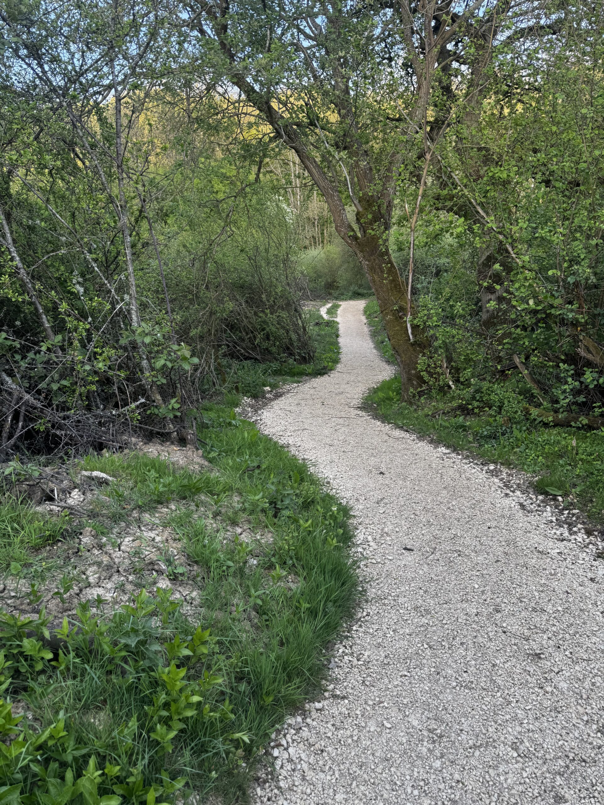 Snowshill Loop – Cotsworld way, Littleworth Wood