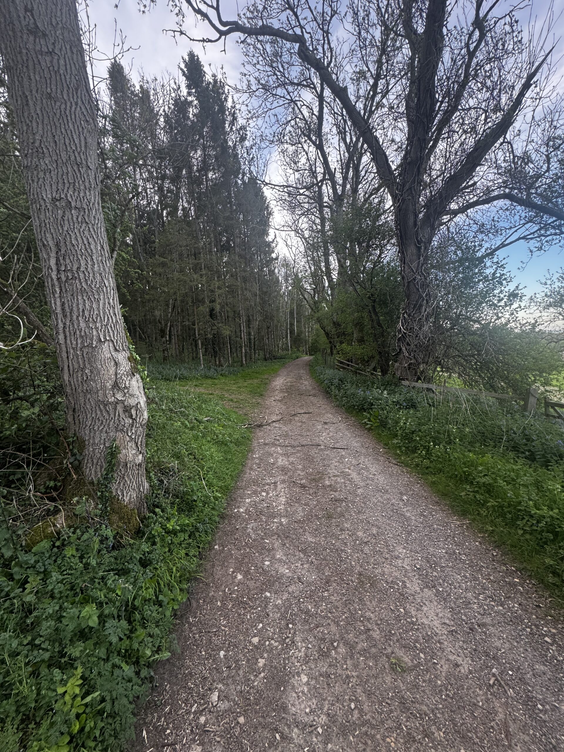 Snowshill Loop – Cotsworld way, Littleworth Wood