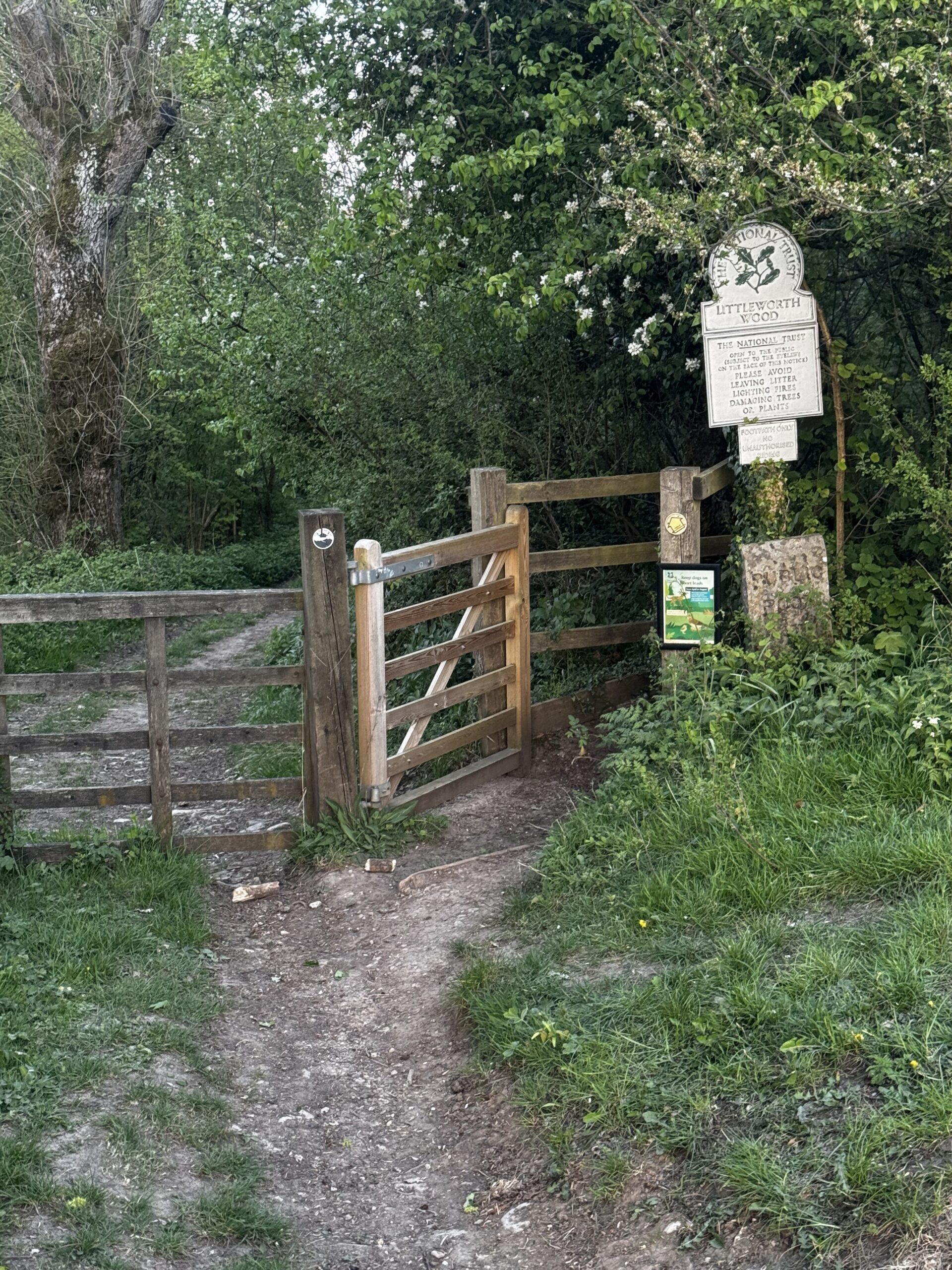Snowshill Loop – Cotsworld way, Littleworth Wood
