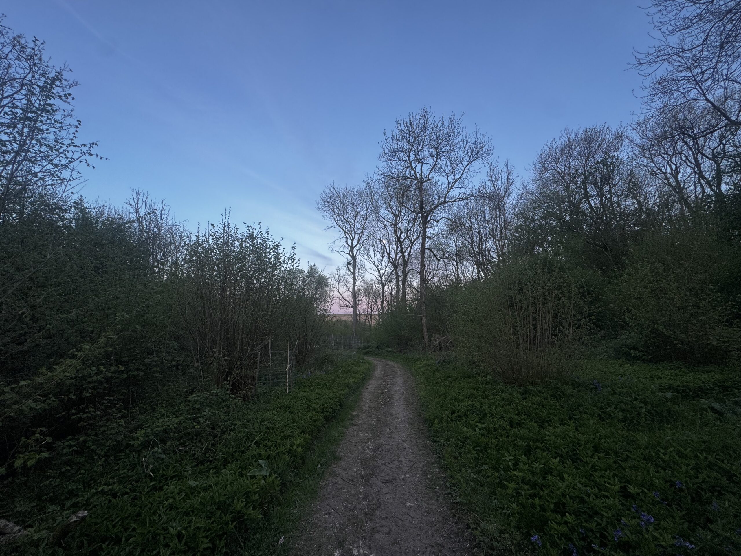 Snowshill Loop – Cotsworld way, Littleworth Wood
